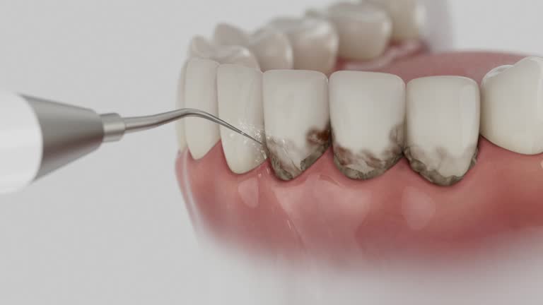 Reliable Dental contractor in Foxfire, NC by Dentist Open Now
